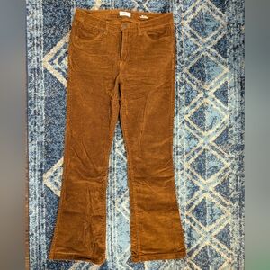 Kensie Rust Cotton Corduroy Pants Tessa High Rise Bootcut - Size 10/30